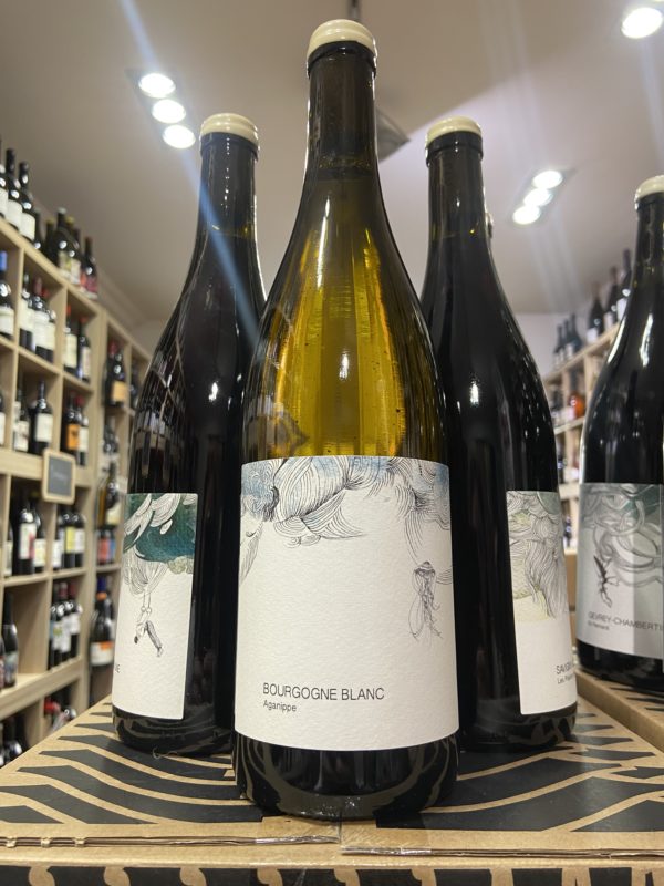 Les Horées, grands vins de Bourgogne par Catharina Sadde depuis 2019 à Beaune. Travail en biodynamie, en harmonie avec la nature.